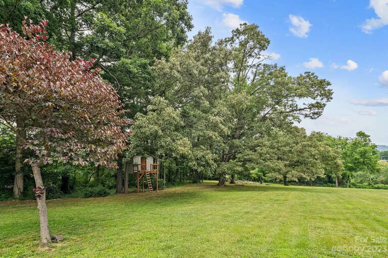 Wooded Surroundings w/ Treehouse & Hammock -Spring/Summer