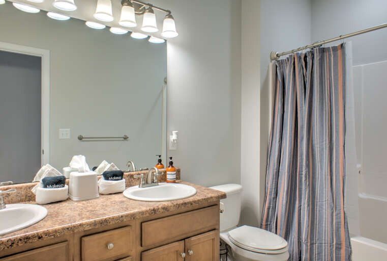 Shared Full Bath in Hallway