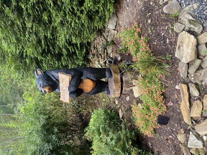 Carved Bear Welcoming Visitors to The Toasty Marshmallow Carved Bear Welcoming Visitors to The Toasty Marshmallow