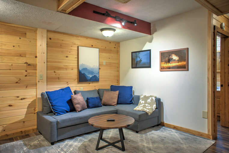 Lower Level - Living Area