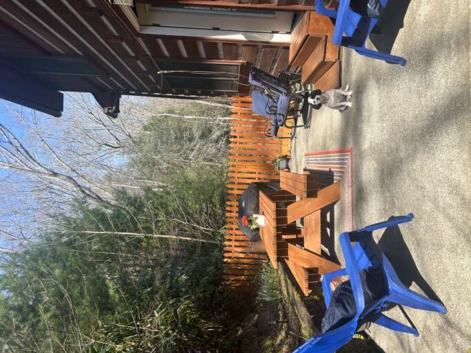 Fenced Backyard Area