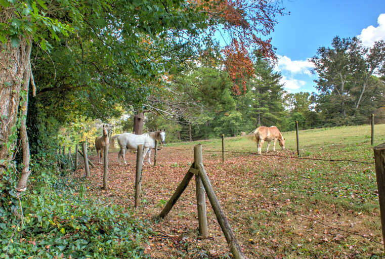 Heartwood Cottage - Peaceful Rural Setting Heartwood Cottage - Peaceful Rural Setting