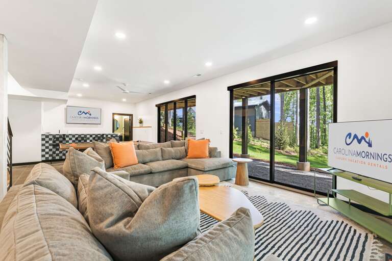 Lower Level - Living Area