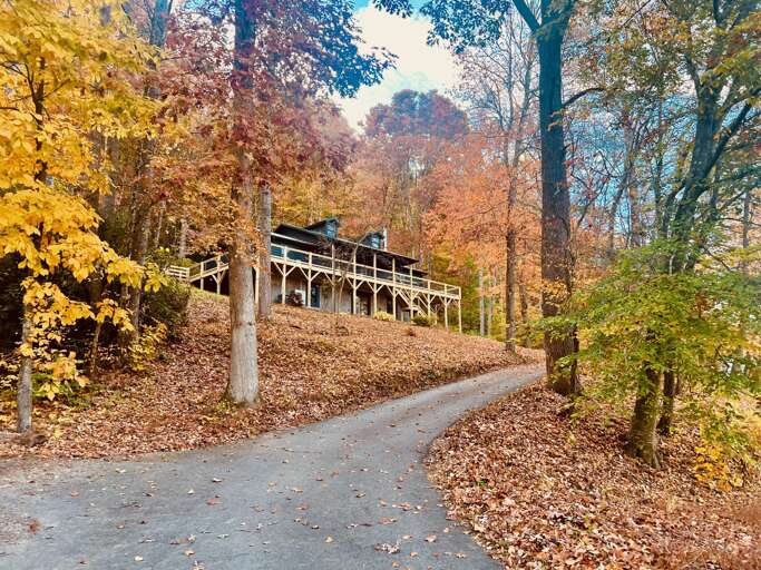 Leaf Season At Modern Mountainside Cabin