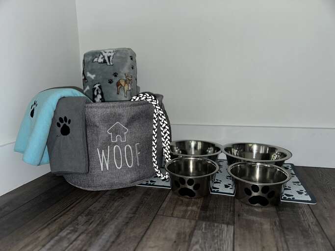 Dog-Friendly Amenities For Guest Use