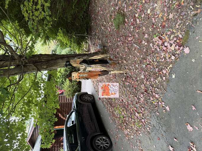 Festive Fall Decorations