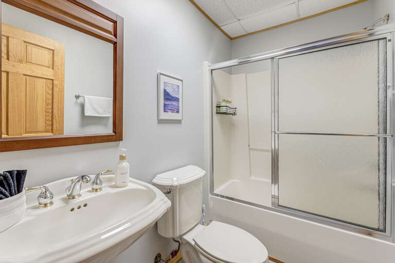 Lower Level - Shared Full Bath