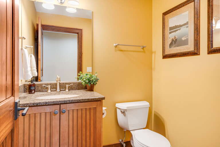 Lower Level - Half Bath