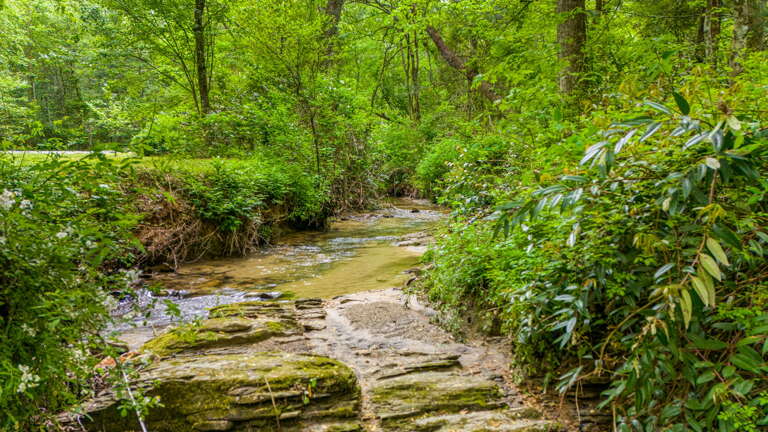 Flowing Creek On Property