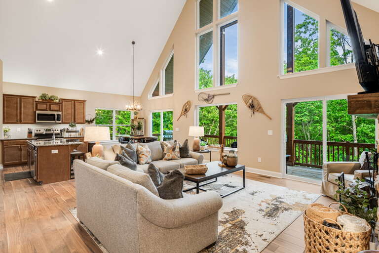 Main Level - Living Area