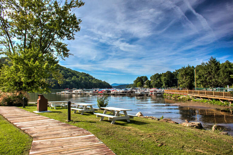 Rumbling Bald Resort - Picnic Area