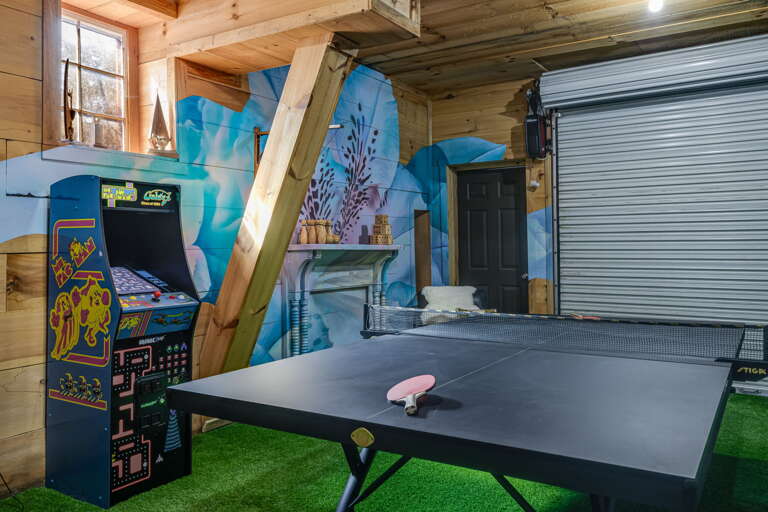 Garage Game Room