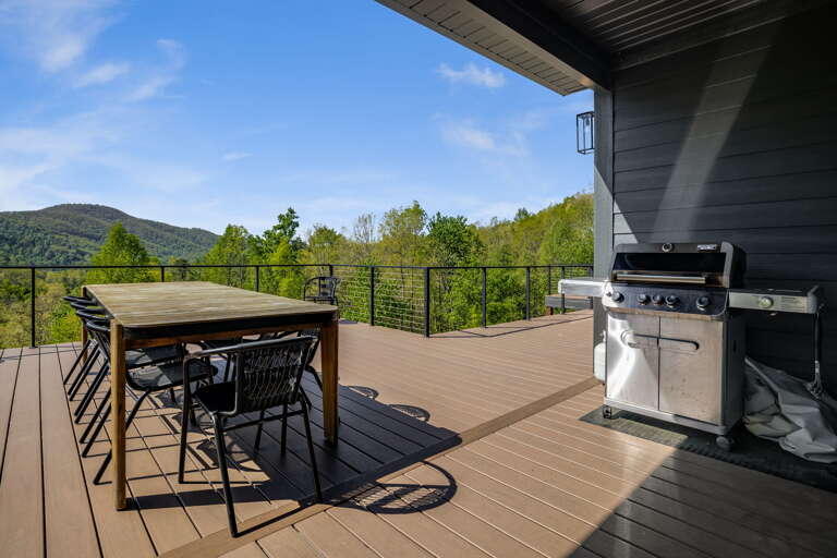 Gas Grill