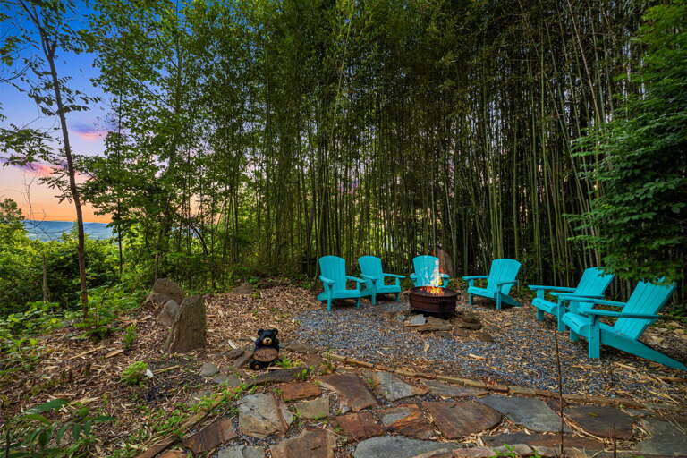Fire Pit Area