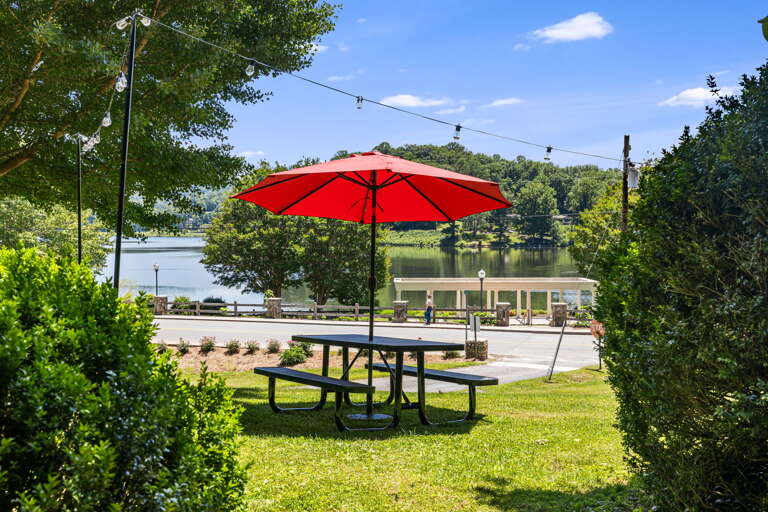 Fresh Air Picnic At the Lake