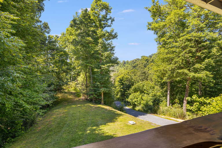 Views From the Back Deck