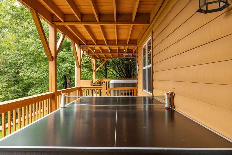 Ping Pong Table