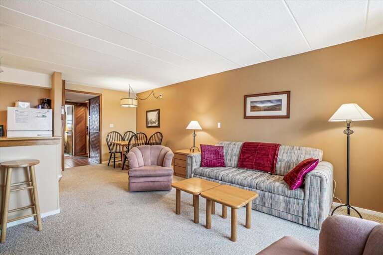 Living Room Layout Leads Into A Kitchen, Complete With Comfy Couch And Cushioned Chairs