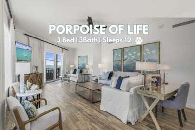 Crystal View 302 Porpoise of Life