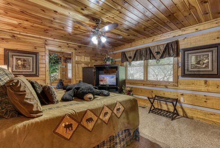 Find Rentals