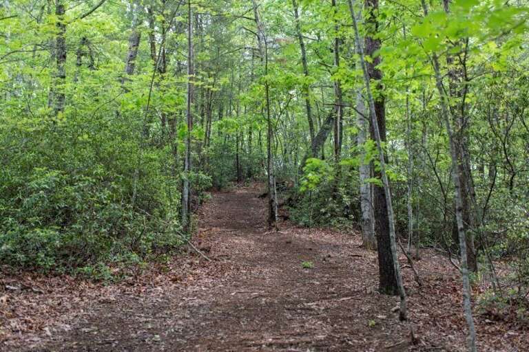 Quiet hiking trails in the area to enjoy