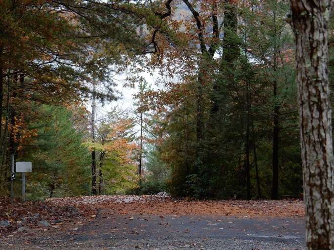 View from the front deck