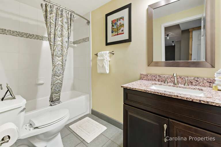 Lower level Bath room