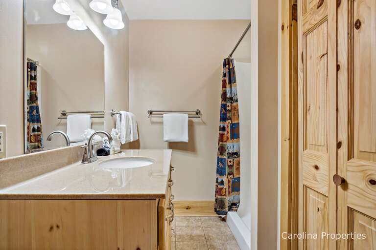 Lower level bathroom with walk-in shower