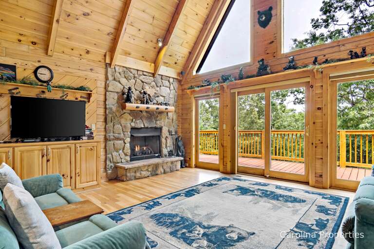 Living room TV and gas log fireplace