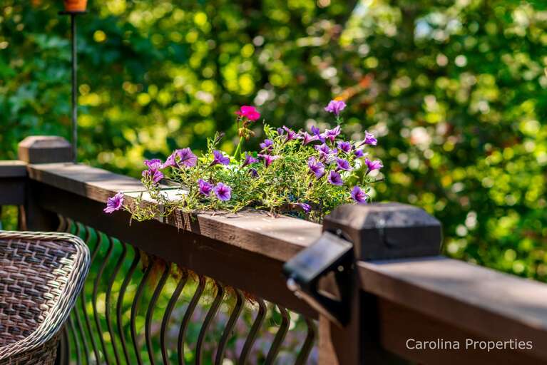 A very peaceful setting