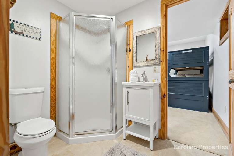 Lower level bathroom