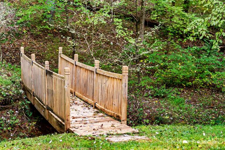 Stand on the bridge and listen to the water