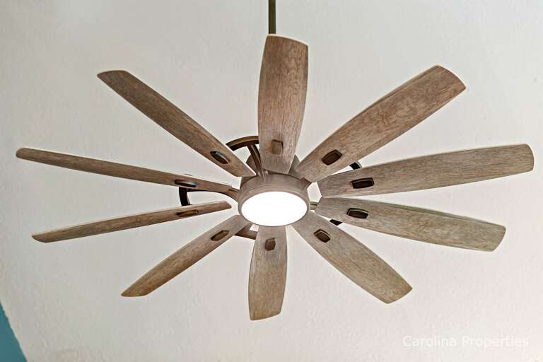 Ceiling fans