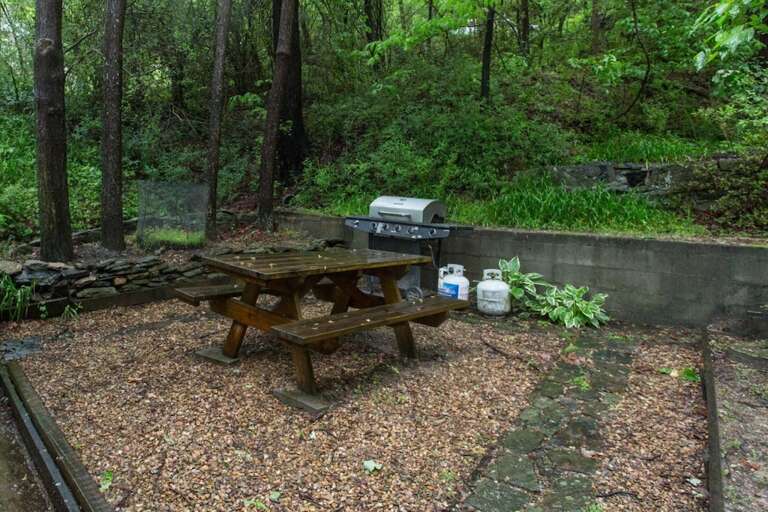 On the stone patio is a picnic table and gas grill.