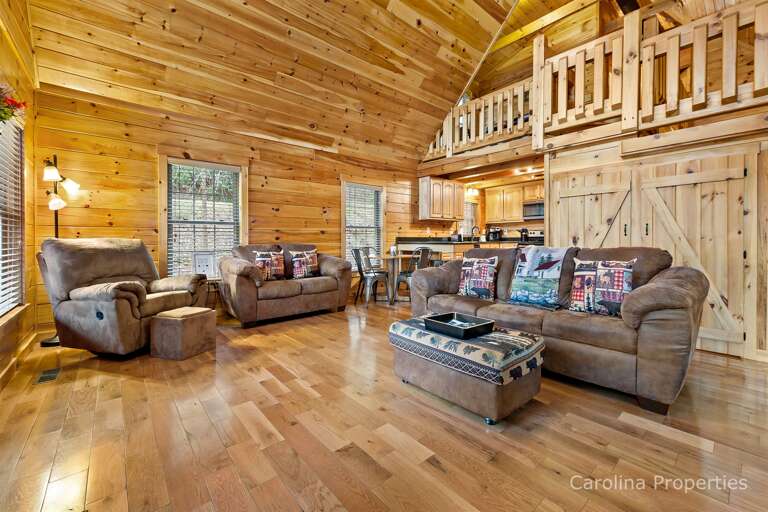 Living room seating area