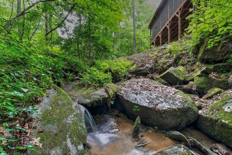 There is a lovely creek right by the cabin 