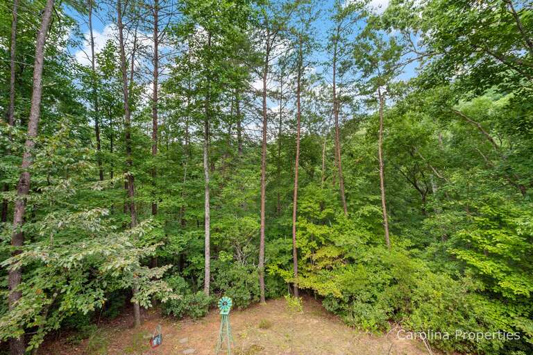 Get close to nature Get close to nature