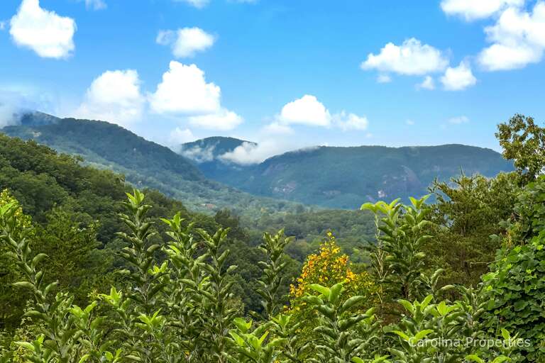 Breath taking views!