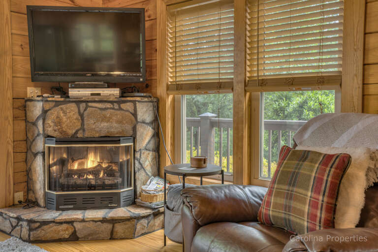 Fireplace in the living room