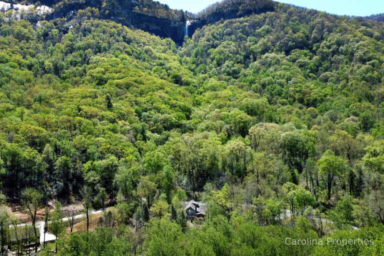 Amazing, tree-covered mountain views Amazing, tree-covered mountain views
