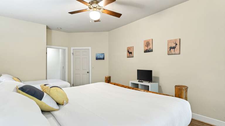 Bedroom 3 features a TV