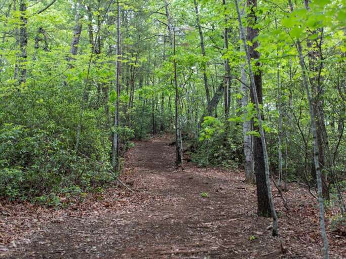 Quiet Hiking Trails in the area