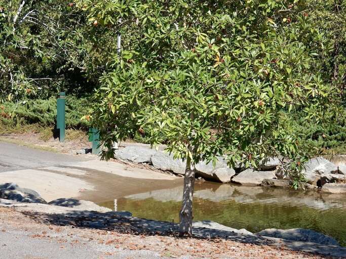 There is also lake access if you want to bring your boat permit required.