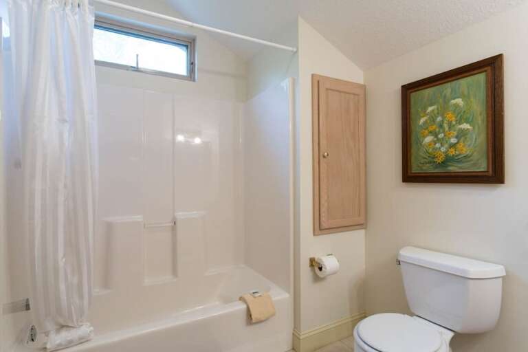 The is a bathtub/shower combination. The is a bathtub/shower combination.