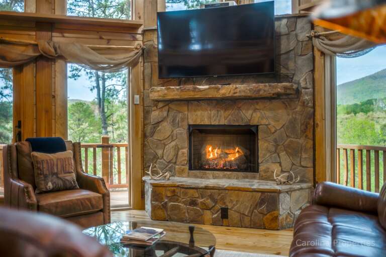 Gas fireplace in living room additional view