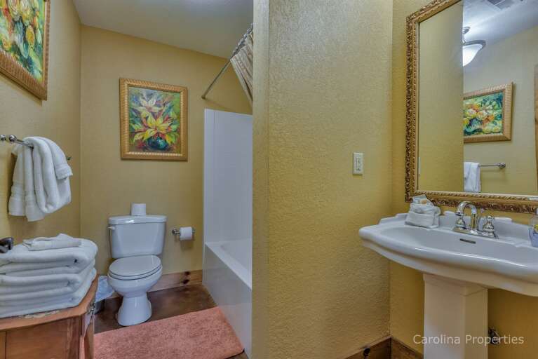 Lower level full bathroom