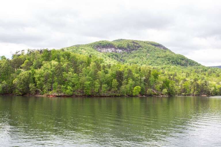 Here are views from the deck.