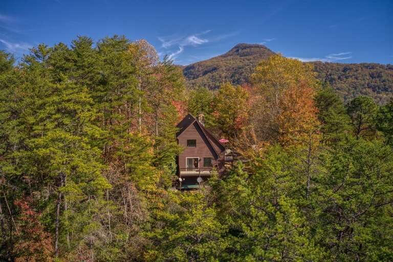 Perfectly nestled amongst the trees