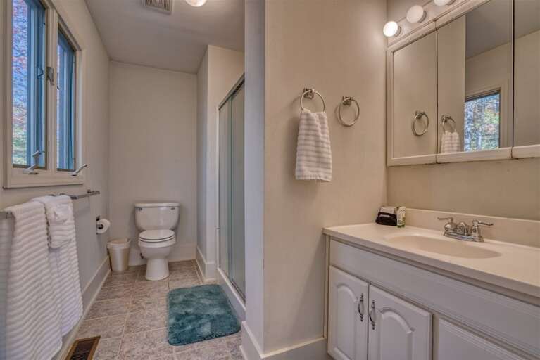 Master bathroom with walk-in shower vanity with sink and discreetly placed toilet
