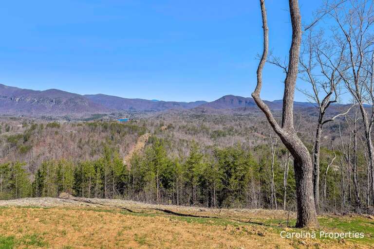 Surrounded by nature